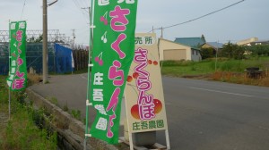 直売所　看板のぼり