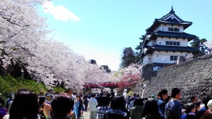 桜まつり
