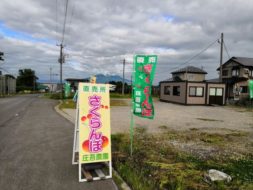 さくらんぼ直売店OPENです！