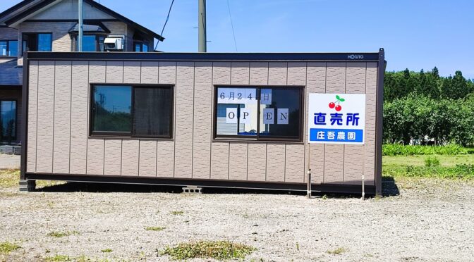 さくらんぼ直売所6月24日開店です